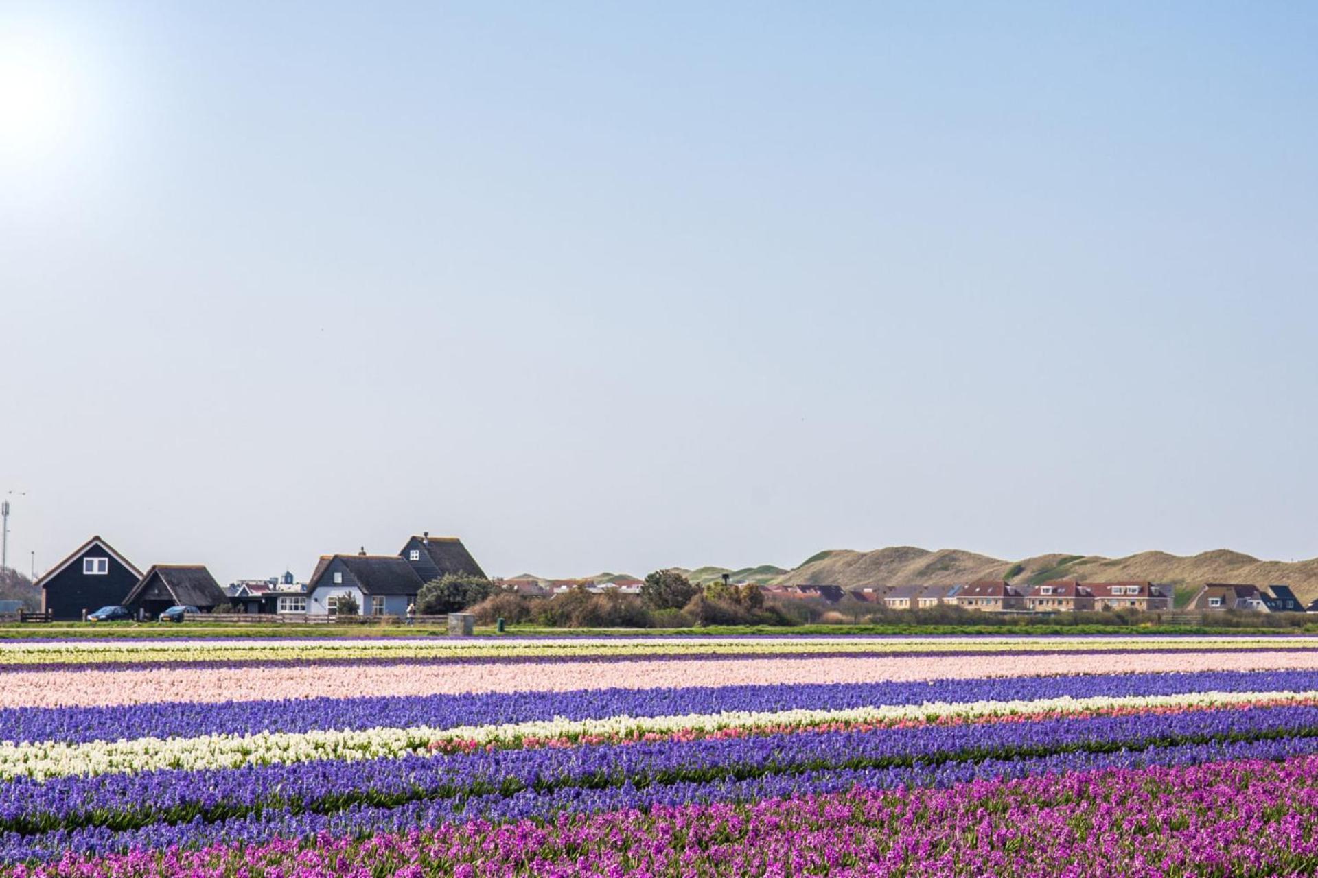 Beach Appartement 14 - Aan De Duinen, Callantsoog Aan Zee Exteriör bild