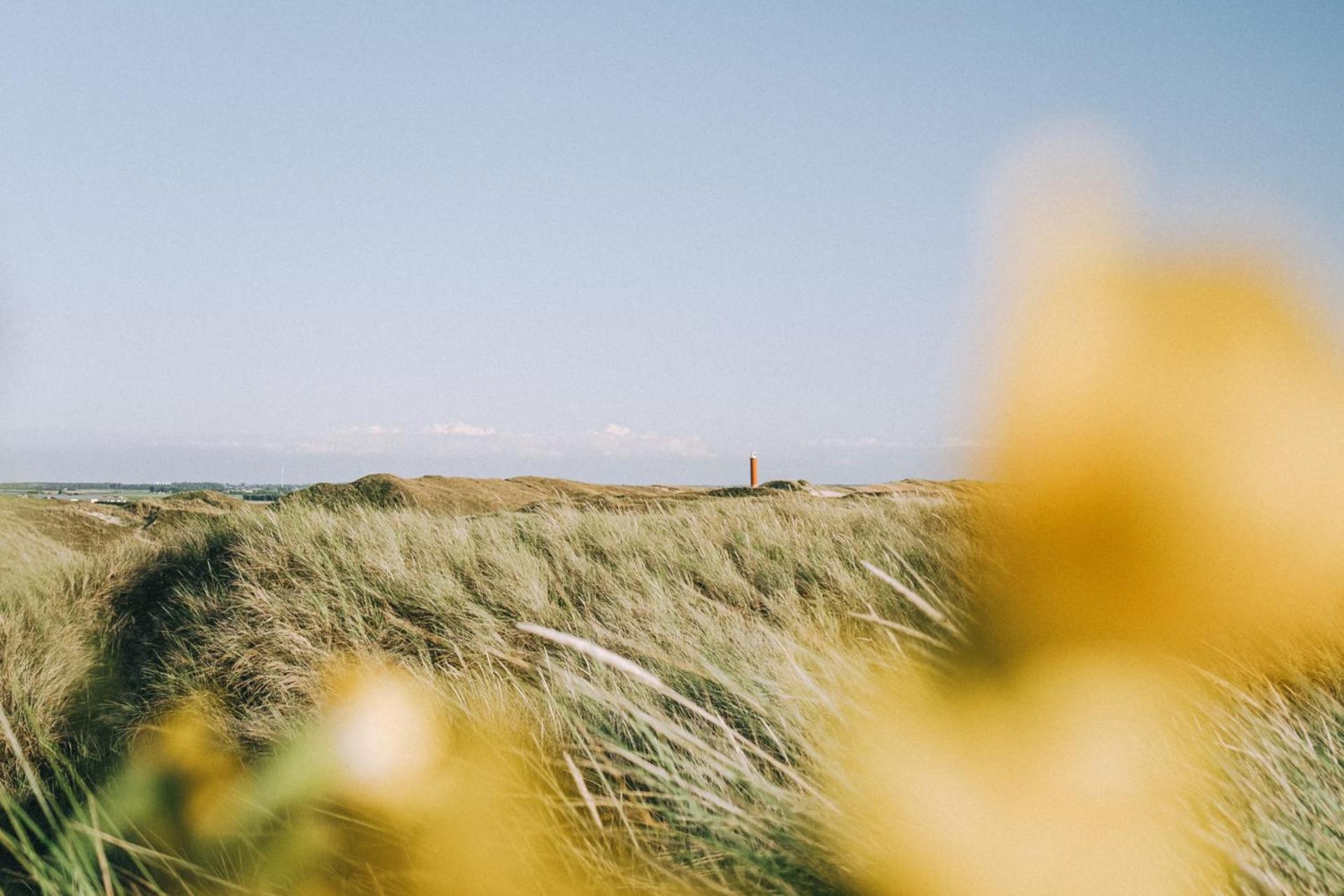 Beach Appartement 14 - Aan De Duinen, Callantsoog Aan Zee Exteriör bild